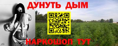 прущие грибы Гагарин