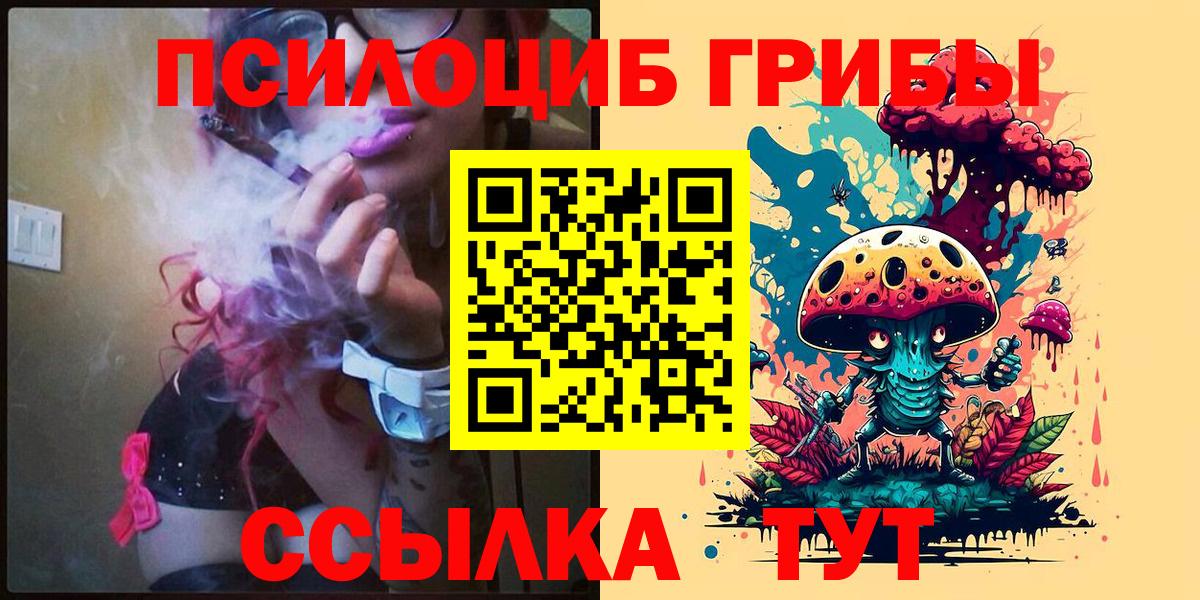 Галлюциногенные грибы Psilocybe  Вход с VPN  Мытищи 